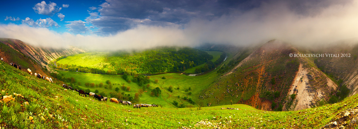 Пейзаж, Молдова, фотограф, реут, Moldova, foto